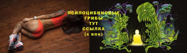 ешки Алексеевка