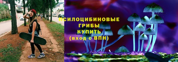 ешки Алексеевка