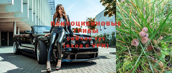 молекула духа Абдулино