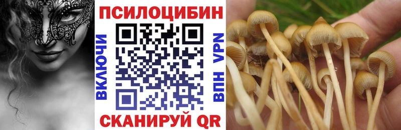 MEGA как зайти  Бокситогорск  Галлюциногенные грибы прущие грибы 